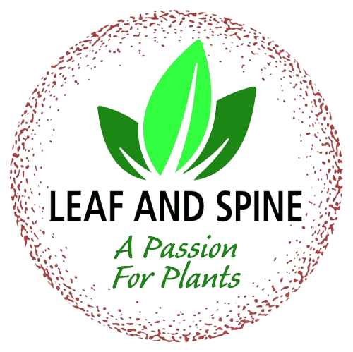 L_S_Logo_512x512-removebg